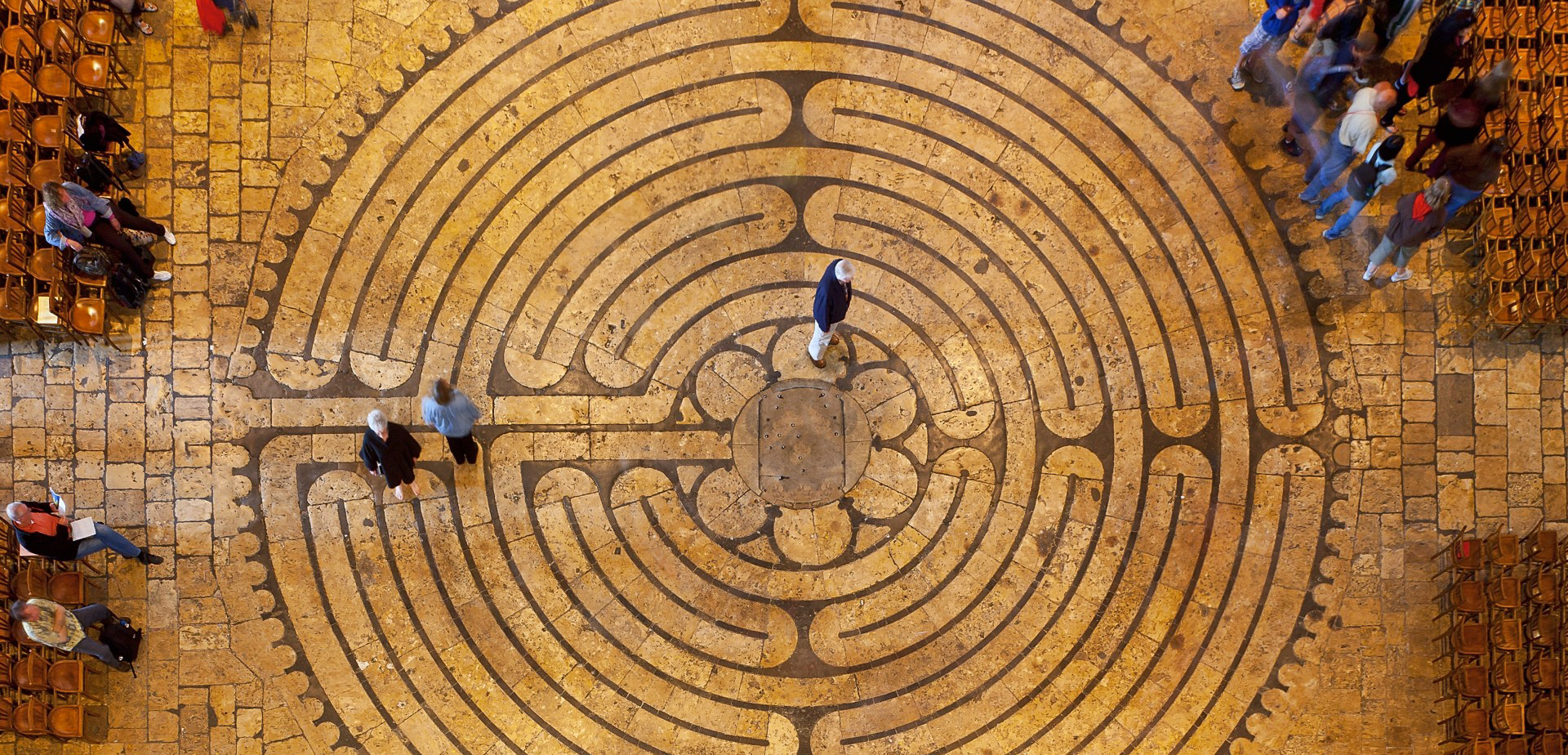 Janiene Wilson Psychotherapy